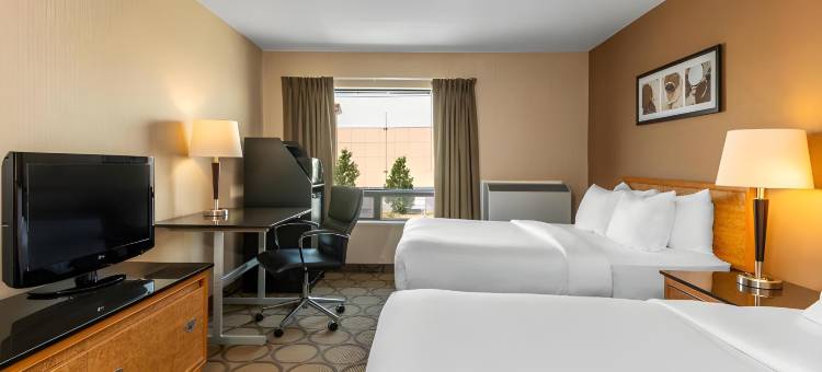 舒适酒店(Comfort Inn)图片