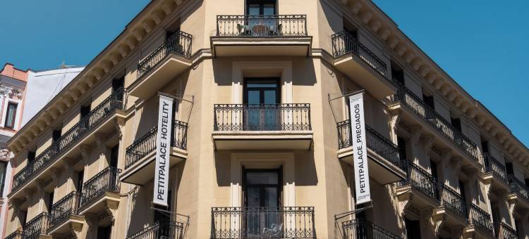 珀蒂宫普雷西亚多斯住宿(Petit Palace Preciados)图片