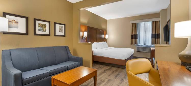 舒适套房酒店-大学(Comfort Suites at the University)图片
