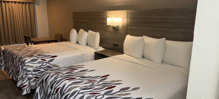 奥兰治堡红屋顶旅馆(Red Roof Inn Orangeburg)图片