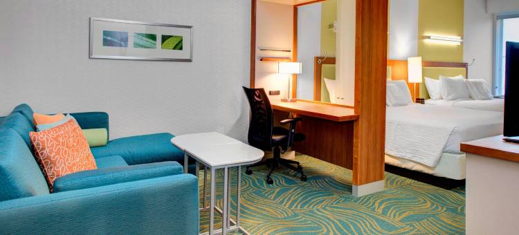 奥古斯塔SpringHill Suites酒店(SpringHill Suites Augusta)图片