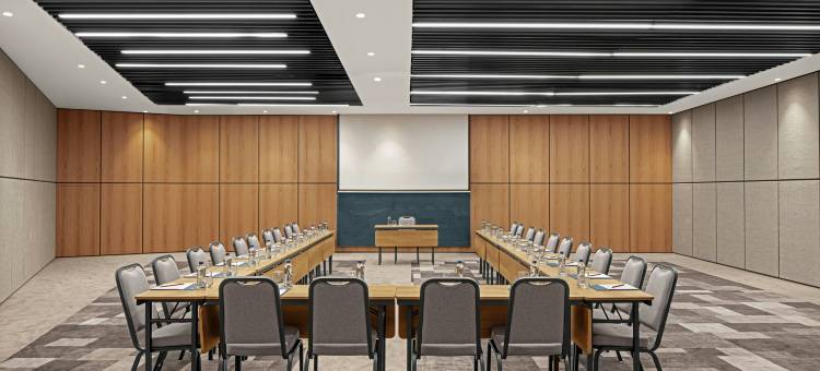 福朋喜来登伊斯坦布尔彭迪克酒店(Four Points by Sheraton Istanbul Pendik)图片