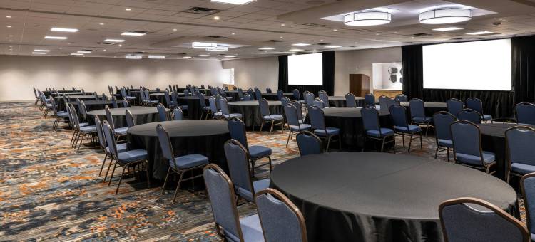 布卢明顿伊代纳希尔顿安泊酒店(Embassy Suites by Hilton Bloomington Edina)图片