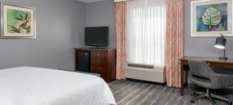 欢朋酒店及套房奥兰多机场@门户村(Hampton Inn & Suites Orlando Airport @ Gateway Village)图片
