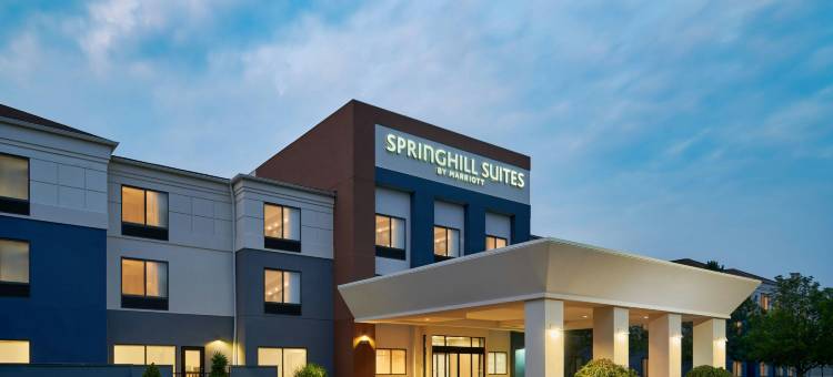 兰辛SpringHill Suites酒店(SpringHill Suites Lansing)图片