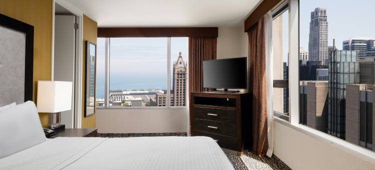 芝加哥中心壮丽大道Homewood Suites by Hilton(Homewood Suites by Hilton Chicago Downtown/Magnificent Mile)图片