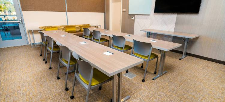 纽瓦克弗里蒙特SpringHill Suites酒店(SpringHill Suites Newark Fremont)图片