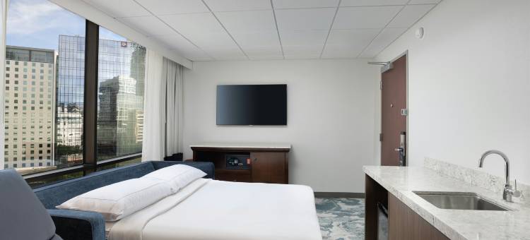 休斯顿希尔顿逸林酒店及套房-医疗中心(DoubleTree by Hilton Houston Medical Center Hotel & Suites)图片