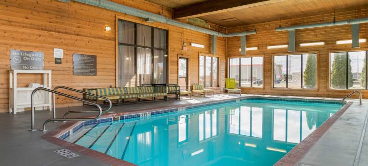 舒适套房酒店(Comfort Inn & Suites Toledo North)图片
