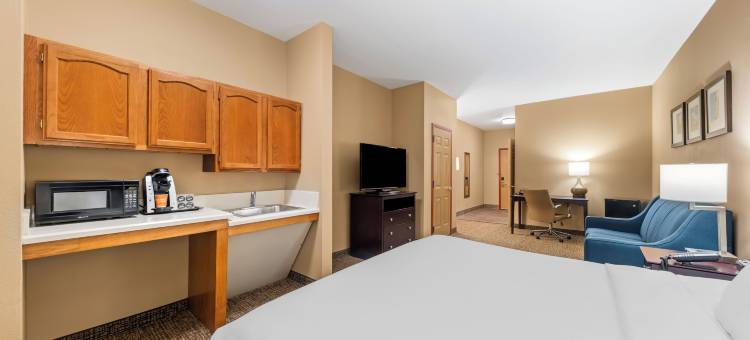 罗阿诺克套房(Roanoke Suites)图片