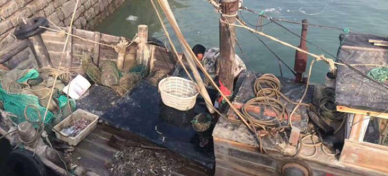 晓菡渔家乐(日照吴家台店)图片