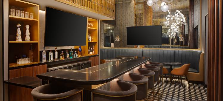 纽约市中心华尔街英迪格酒店，洲际旗下(Hotel Indigo NYC Downtown - Wall Street)图片