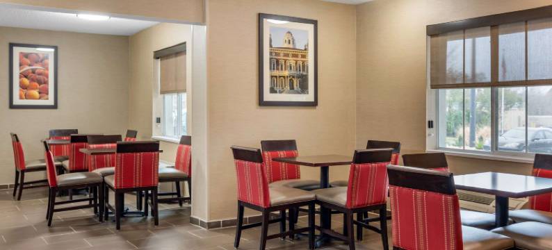 梅肯北I-75舒适套房酒店(Comfort Inn & Suites Macon North I-75)图片