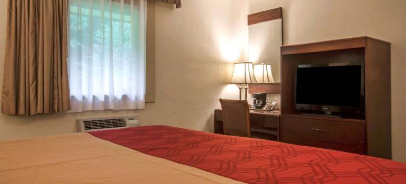 伊克诺酒店(Econo Lodge Manchester, VT)(Econo Lodge Manchester, VT)图片