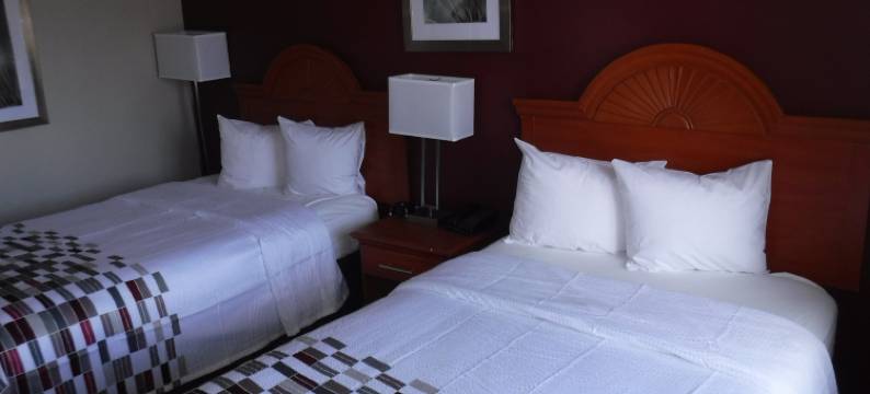 莫顿格罗夫红顶酒店(Red Roof Inn Morton Grove)图片