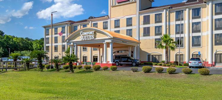 萨凡纳 I-95 高速公路舒适套房酒店(Comfort Suites Savannah Gateway I-95)图片