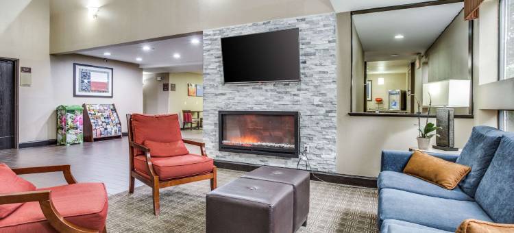 舒适酒店及套房-达拉斯市场中心(Comfort Inn & Suites Love Field-Dallas Market Center)图片