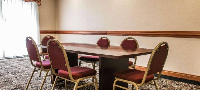 坎顿舒适套房酒店(Comfort Suites)图片