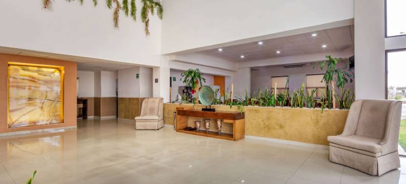 舒适酒店-奇瓦瓦(Comfort Inn Chihuahua)图片