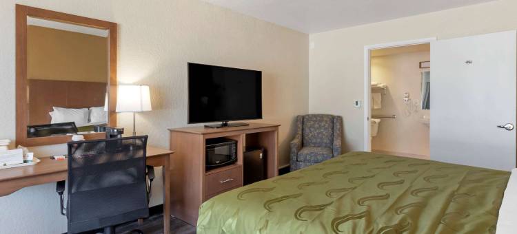 圣彼得斯堡骑士酒店(Quality Inn Saint Petersburg North-Tampa Bay)图片