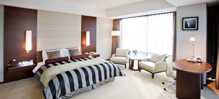 水原华美达广场酒店(Ramada Plaza by Wyndham Suwon)图片