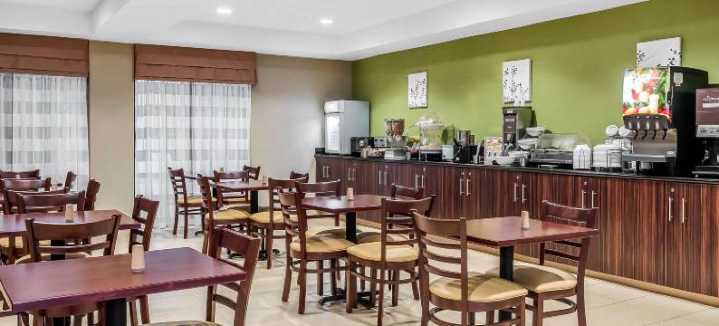 多森北舒眠套房酒店(Sleep Inn & Suites Dothan North)图片