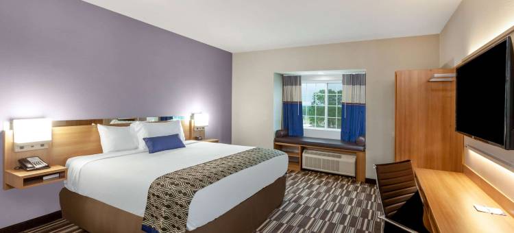 克利奇站麦客达温德姆套房酒店(Microtel Inn & Suites by Wyndham College Station)图片