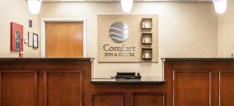 尚迪利杜勒斯世博机场假日酒店(Holiday Inn CHANTILLY-DULLES EXPO (ARPT) by IHG)图片