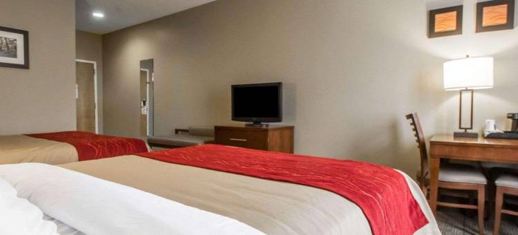 舒适酒店(Comfort Inn Amite)图片