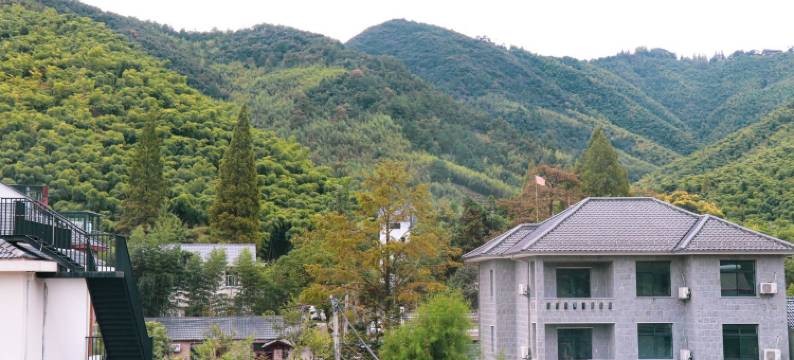 莫干山流年度假别墅(晓于线分店)图片