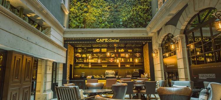 索卡洛中心酒店(Hotel Zocalo Central)图片