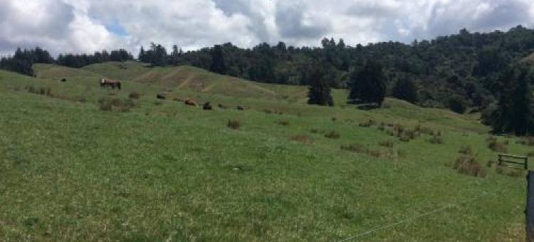 411住宿(Studio 411)图片