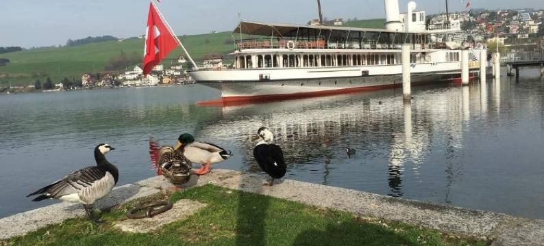 巴恩霍夫里旅馆(Bahnhöfli)图片