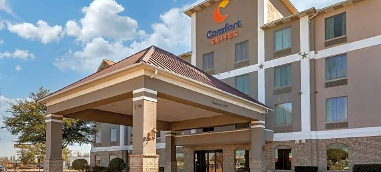 韦科舒适套房酒店-近大学区(Comfort Suites Waco Near University Area)图片