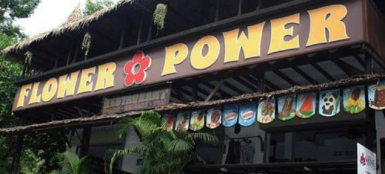 弗劳瓦鲍沃农场度假村(Flower Power Farm Village)图片