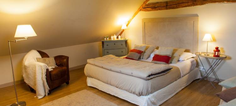 美景庄园宁静度假酒店(Domaine de Bellevue The Originals Relais)图片