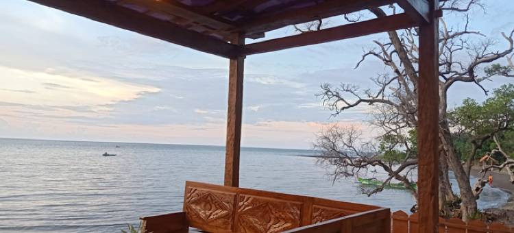 Omah Kayu Villa图片