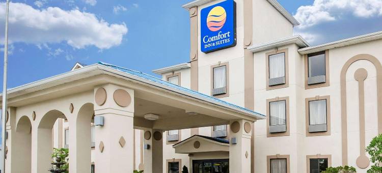 拉格兰奇舒适酒店及套房 - 路易斯维尔地区(Comfort Inn & Suites la Grange - Louisville Area)图片
