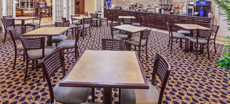 阿尔文拉昆塔温德姆套房酒店(La Quinta Inn & Suites by Wyndham Alvin)图片