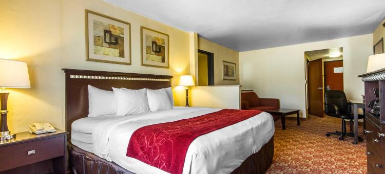 瓦卡拉维尔 - 纳帕谷舒适套房酒店(Comfort Suites Vacaville-Napa Valley Area)图片