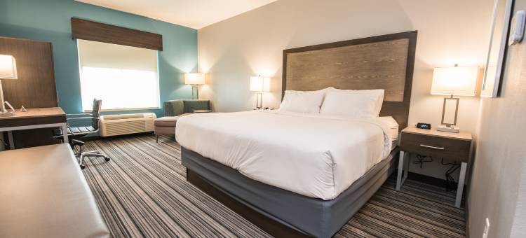智选假日套房酒店休斯顿(Holiday Inn Express & Suites Houston - Hobby Airport Area)图片