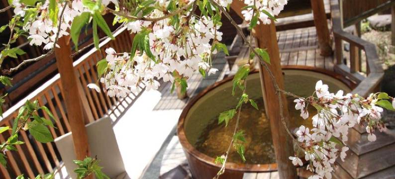 安比八幡平食宿四季館彩冬旅馆(Shikikan Saito)图片