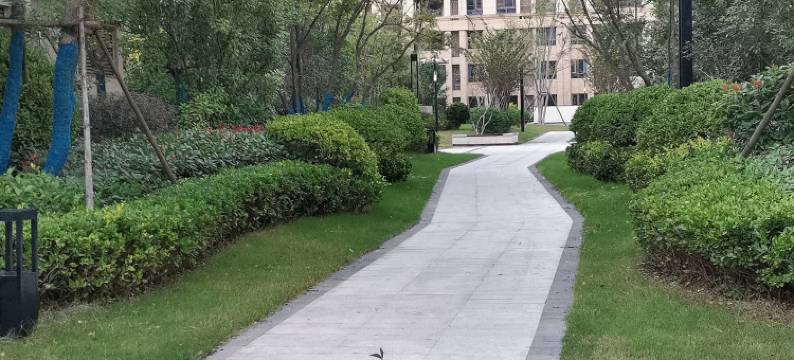 扬柳依依公寓(金耀路分店)图片