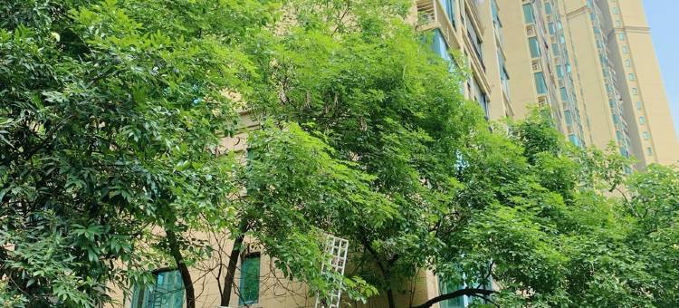w我家民宿(东山路一横分店)图片