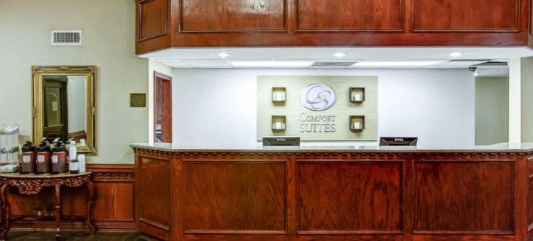 舒适套房酒店-艾达贝尔(Comfort Suites Idabel)图片