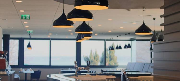 日内瓦湖酒店(Lake Geneva Hotel)图片