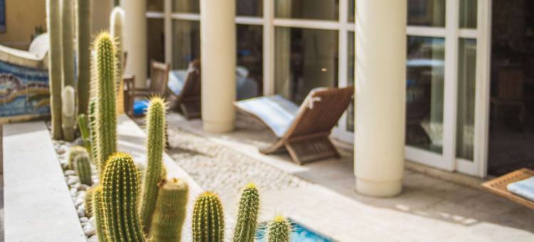 太阳能堡里斯本古迹精选酒店(Solar do Castelo - Lisbon Heritage Collection - Alfama)图片