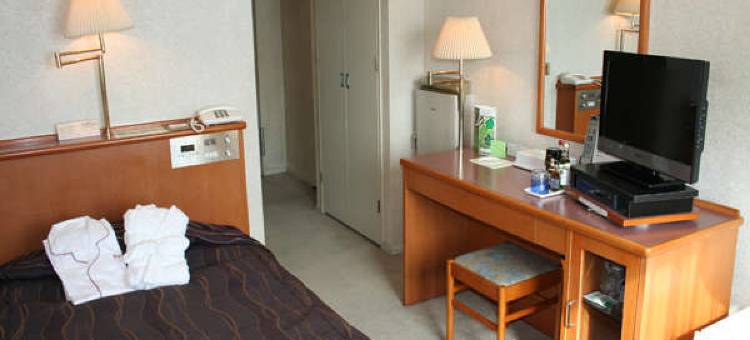 东京新白河Daiichi酒店(Tokyo Daiichi Hotel Shinshirakawa)图片