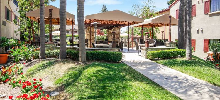 帕洛阿尔托洛斯阿尔托斯万怡酒店(Courtyard Palo Alto Los Altos)图片