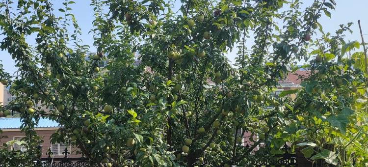 兴城别墅民宿(技校路分店)图片